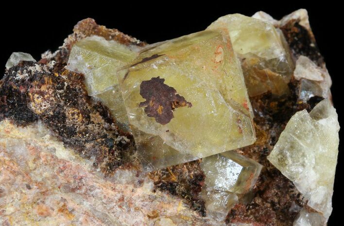 Lustrous, Yellow Cubic Fluorite Crystals - Morocco #44877